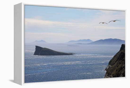 Coastal Cliffs, Falkland Islands-Charlotte Main-Framed Premier Image Canvas