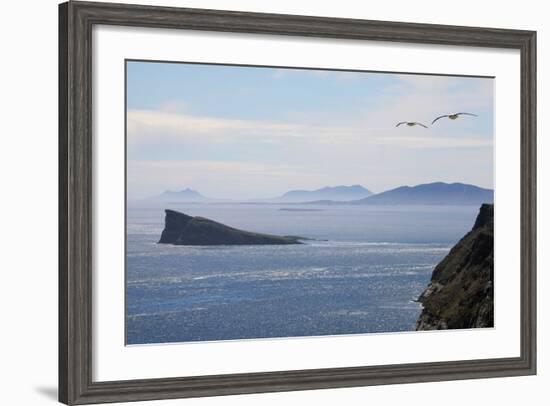 Coastal Cliffs, Falkland Islands-Charlotte Main-Framed Premium Photographic Print