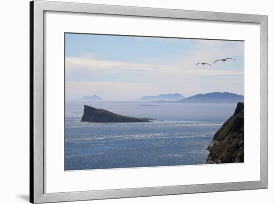 Coastal Cliffs, Falkland Islands-Charlotte Main-Framed Premium Photographic Print