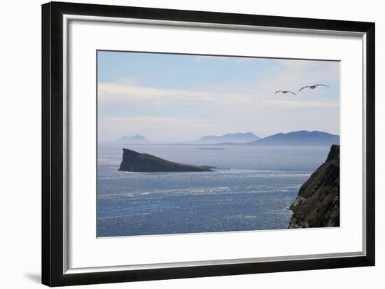 Coastal Cliffs, Falkland Islands-Charlotte Main-Framed Premium Photographic Print