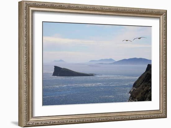 Coastal Cliffs, Falkland Islands-Charlotte Main-Framed Photographic Print