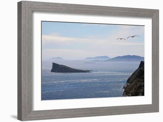 Coastal Cliffs, Falkland Islands-Charlotte Main-Framed Photographic Print