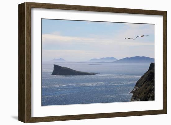 Coastal Cliffs, Falkland Islands-Charlotte Main-Framed Photographic Print