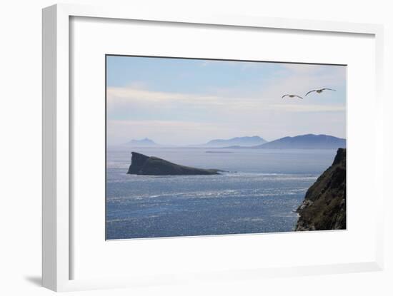 Coastal Cliffs, Falkland Islands-Charlotte Main-Framed Photographic Print