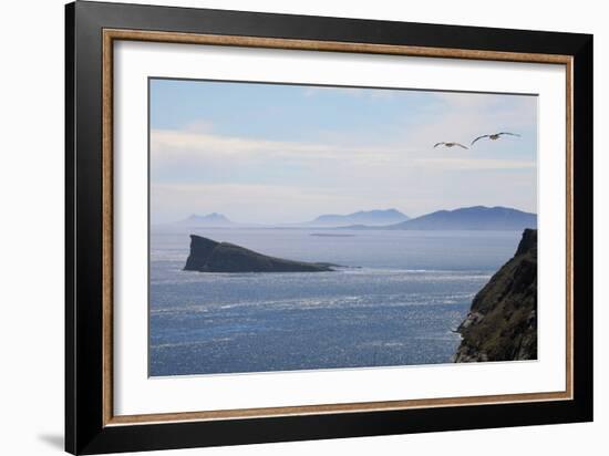 Coastal Cliffs, Falkland Islands-Charlotte Main-Framed Photographic Print