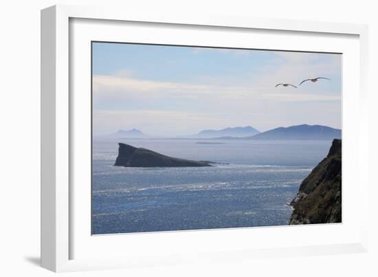 Coastal Cliffs, Falkland Islands-Charlotte Main-Framed Photographic Print