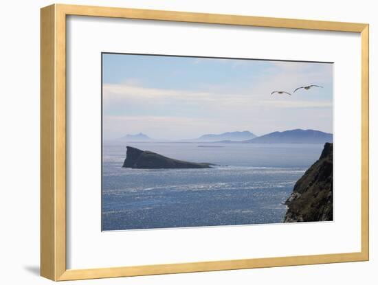 Coastal Cliffs, Falkland Islands-Charlotte Main-Framed Photographic Print