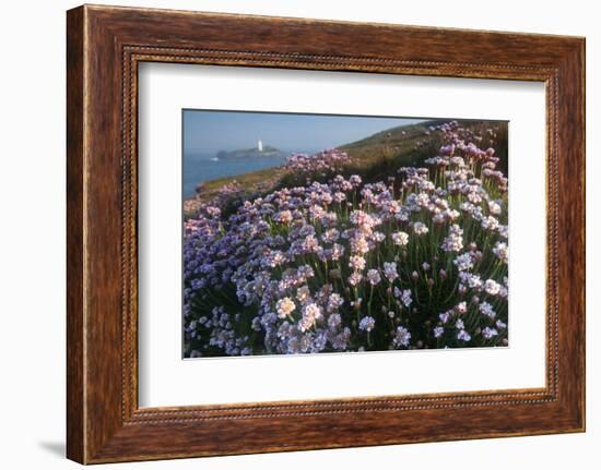 Coastal Cliffs, Godrevy Point, Nr St Ives, Cornwall, England-Paul Harris-Framed Photographic Print