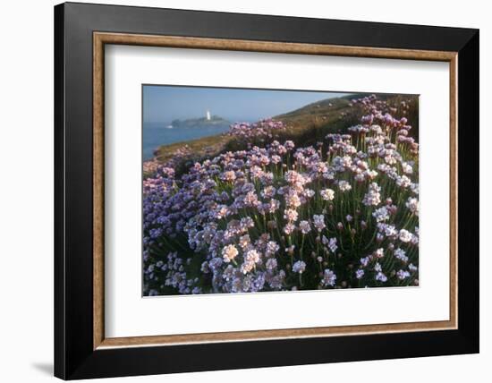 Coastal Cliffs, Godrevy Point, Nr St Ives, Cornwall, England-Paul Harris-Framed Photographic Print