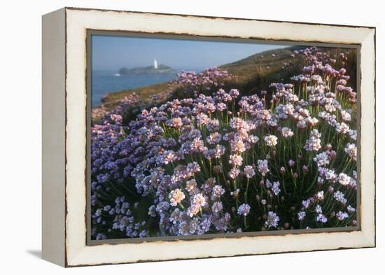 Coastal Cliffs, Godrevy Point, Nr St Ives, Cornwall, England-Paul Harris-Framed Premier Image Canvas