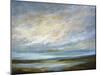 Coastal Clouds VI-Sheila Finch-Mounted Art Print