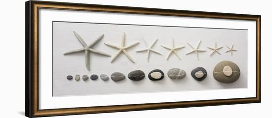 Coastal Collection II-Camille Soulayrol-Framed Giclee Print