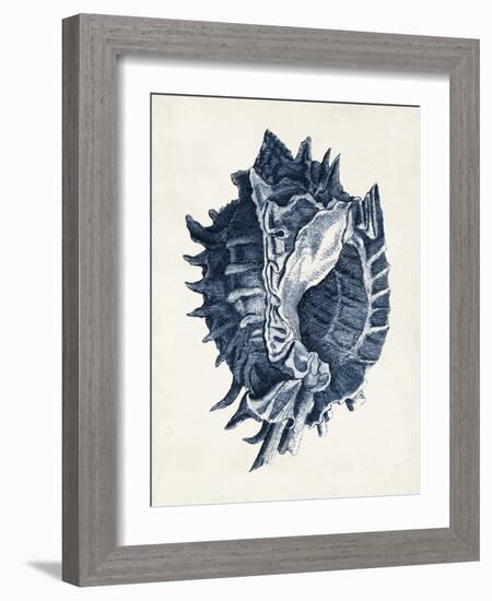 Coastal Collection in Indigo I-Vision Studio-Framed Art Print