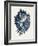 Coastal Collection in Indigo I-Vision Studio-Framed Art Print