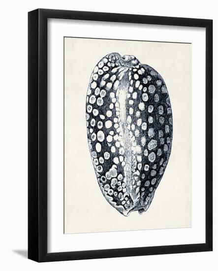 Coastal Collection in Indigo III-Vision Studio-Framed Art Print