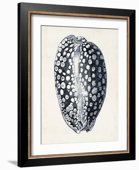 Coastal Collection in Indigo III-Vision Studio-Framed Art Print