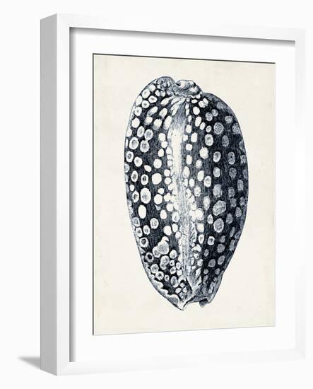 Coastal Collection in Indigo III-Vision Studio-Framed Art Print