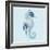 Coastal Cool I-Moira Hershey-Framed Art Print