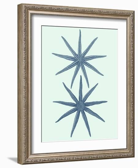 Coastal Curio II-Vision Studio-Framed Art Print