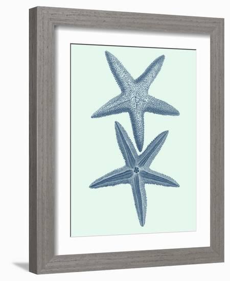 Coastal Curio III-Vision Studio-Framed Art Print