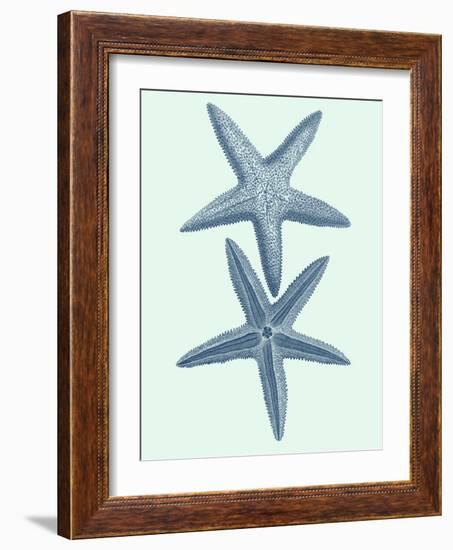 Coastal Curio III-Vision Studio-Framed Art Print