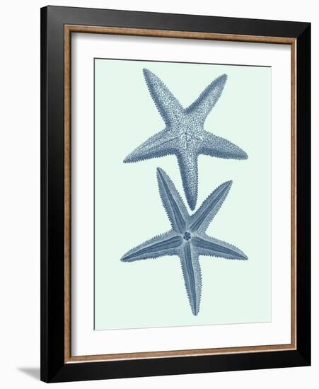 Coastal Curio III-Vision Studio-Framed Art Print