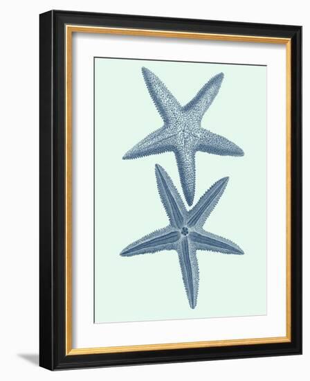 Coastal Curio III-Vision Studio-Framed Art Print