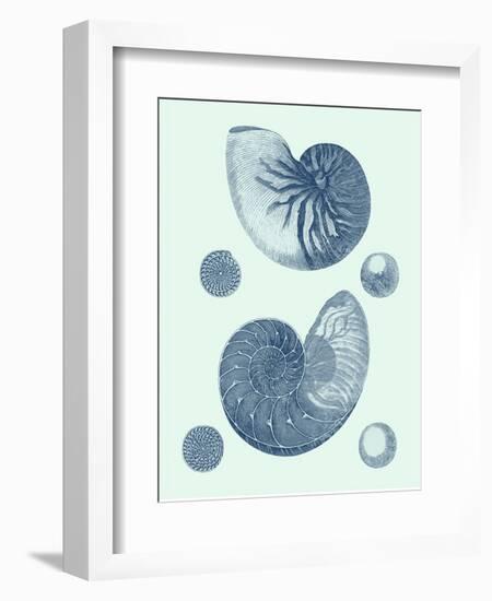 Coastal Curio VI-Vision Studio-Framed Art Print