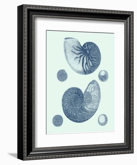 Coastal Curio VI-Vision Studio-Framed Art Print