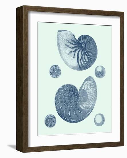 Coastal Curio VI-Vision Studio-Framed Art Print