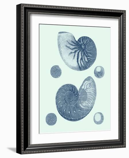 Coastal Curio VI-Vision Studio-Framed Art Print