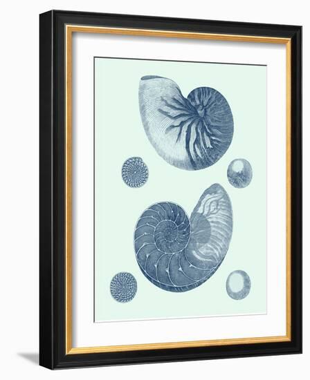 Coastal Curio VI-Vision Studio-Framed Art Print