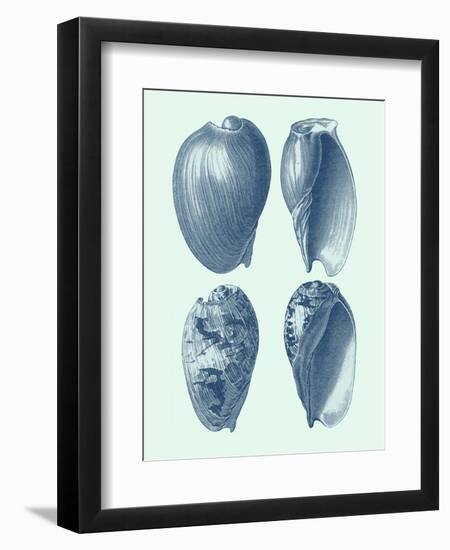 Coastal Curio VIII-Vision Studio-Framed Art Print