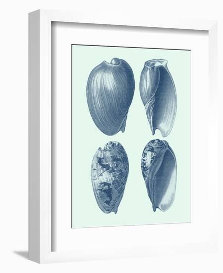 Coastal Curio VIII-Vision Studio-Framed Art Print