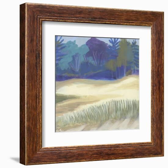 Coastal Dunes I-Cathe Hendrick-Framed Art Print