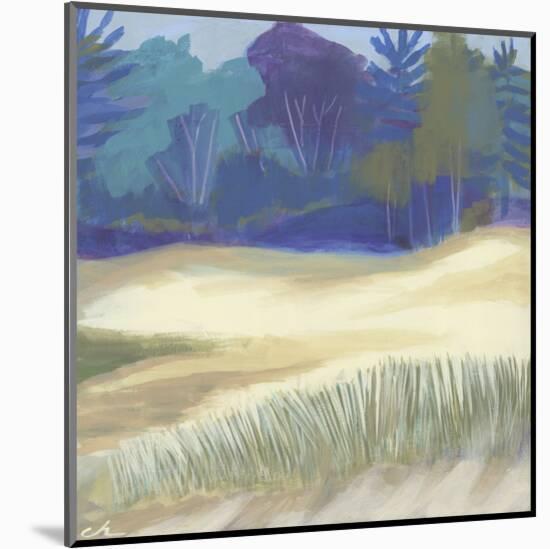 Coastal Dunes I-Cathe Hendrick-Mounted Art Print