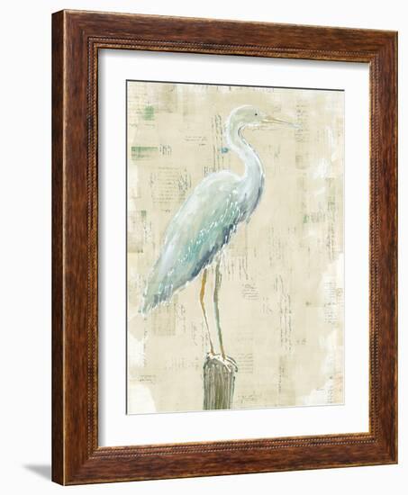 Coastal Egret I v2 no Aqua-Sue Schlabach-Framed Art Print