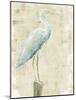 Coastal Egret I v2 no Aqua-Sue Schlabach-Mounted Art Print