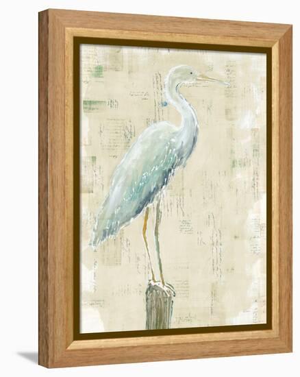 Coastal Egret I v2 no Aqua-Sue Schlabach-Framed Stretched Canvas