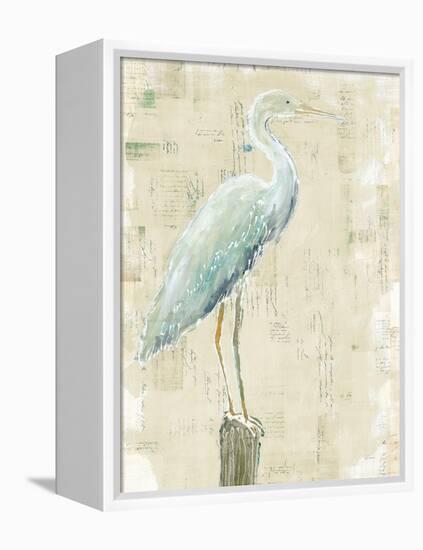 Coastal Egret I v2 no Aqua-Sue Schlabach-Framed Stretched Canvas