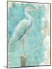 Coastal Egret I-Sue Schlabach-Mounted Art Print