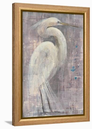 Coastal Egret I-Albena Hristova-Framed Stretched Canvas