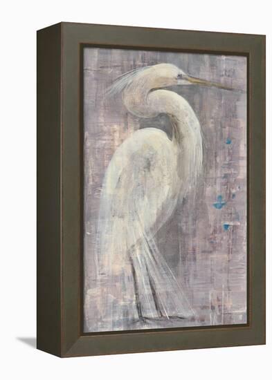 Coastal Egret I-Albena Hristova-Framed Stretched Canvas