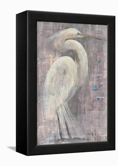 Coastal Egret I-Albena Hristova-Framed Stretched Canvas