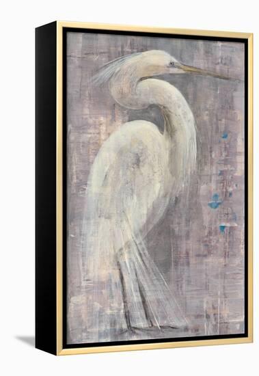 Coastal Egret I-Albena Hristova-Framed Stretched Canvas