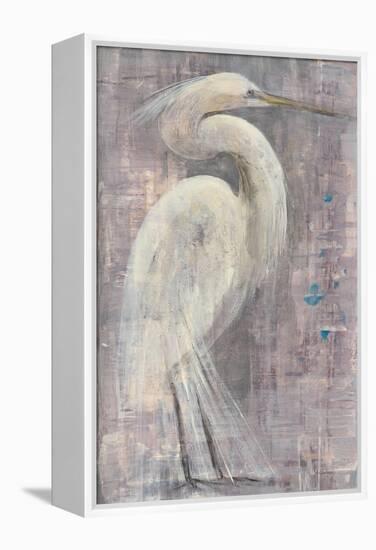 Coastal Egret I-Albena Hristova-Framed Stretched Canvas