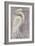 Coastal Egret I-Albena Hristova-Framed Art Print