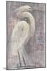 Coastal Egret I-Albena Hristova-Mounted Art Print