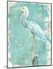 Coastal Egret II V2-Sue Schlabach-Mounted Art Print