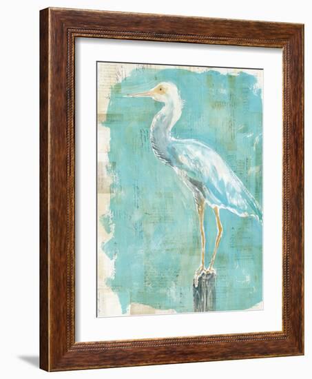 Coastal Egret II-Sue Schlabach-Framed Art Print